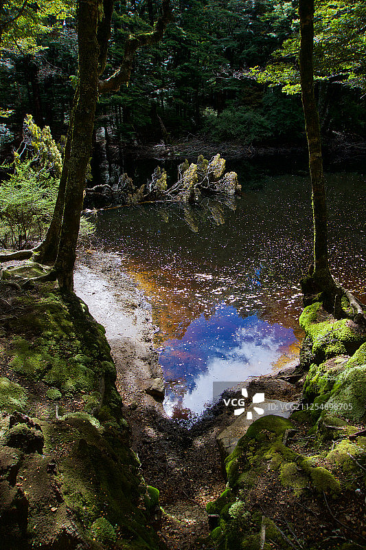 新西兰塔卡卡湖景图片素材