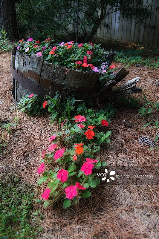 鲜花洒落图片素材