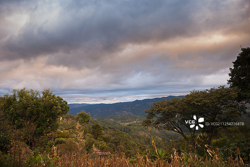 危地马拉的森林砍伐图片素材