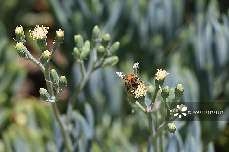 自然治愈系列图片素材