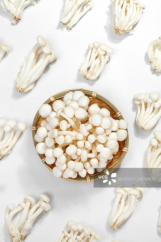 海鲜菇图片素材