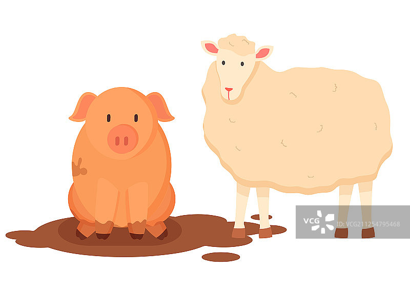 绵羊、羊毛和小猪坐在泥土里图片素材