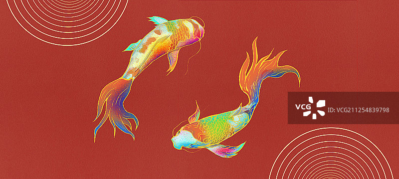 两条多彩锦鲤插画图片素材