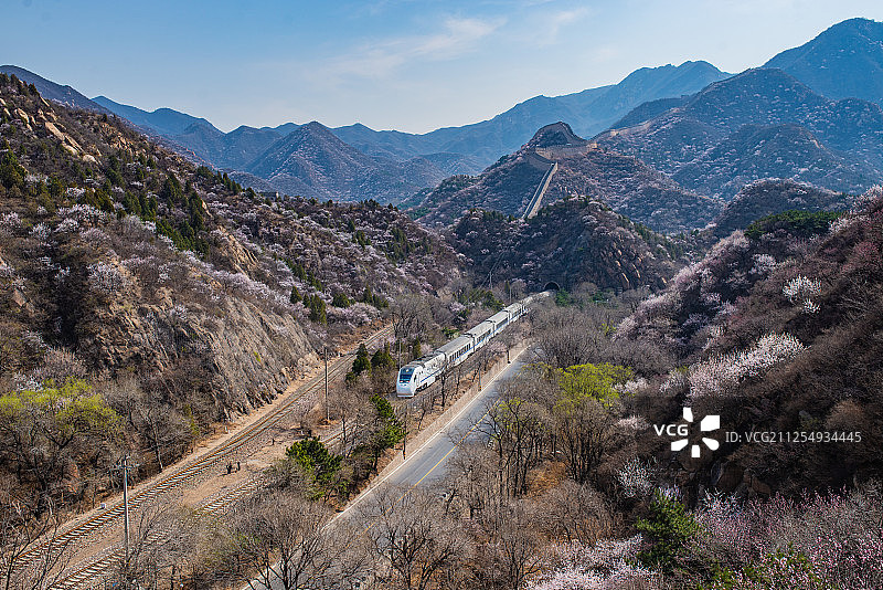 清明时节的北京延庆水关长城，山花烂漫，S2线列车正在驶过山谷图片素材