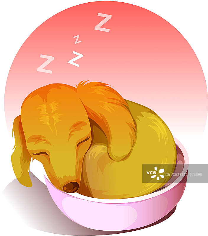 小狗睡觉图片素材
