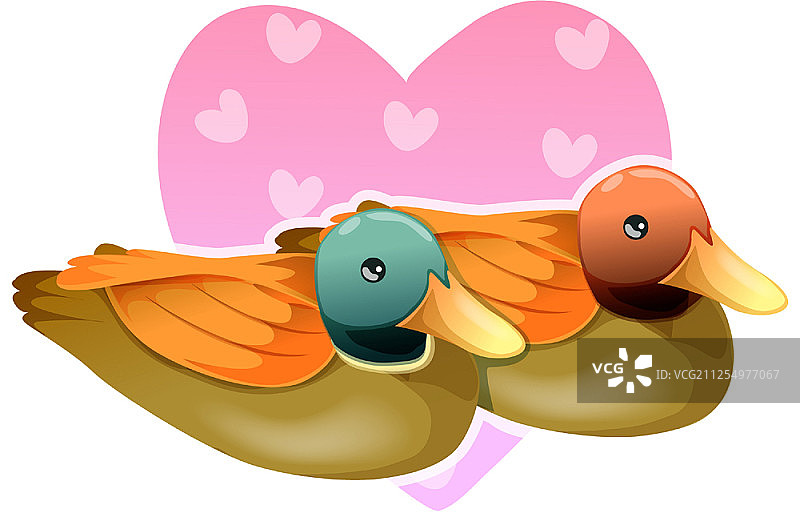 一对爱情鸟图片素材