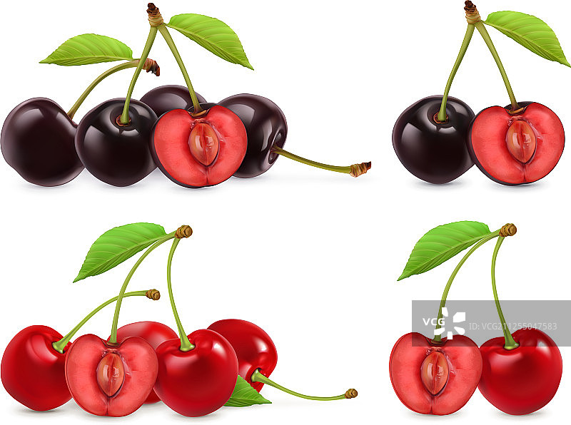 完整的和一半的3D写实樱桃图片素材
