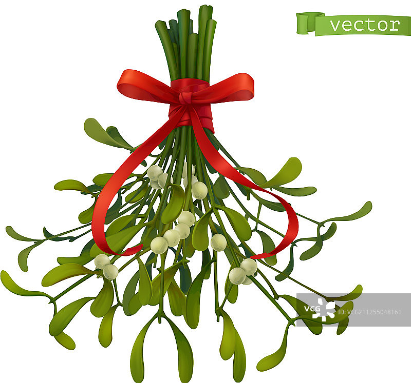 圣诞装饰槲寄生3D图片素材