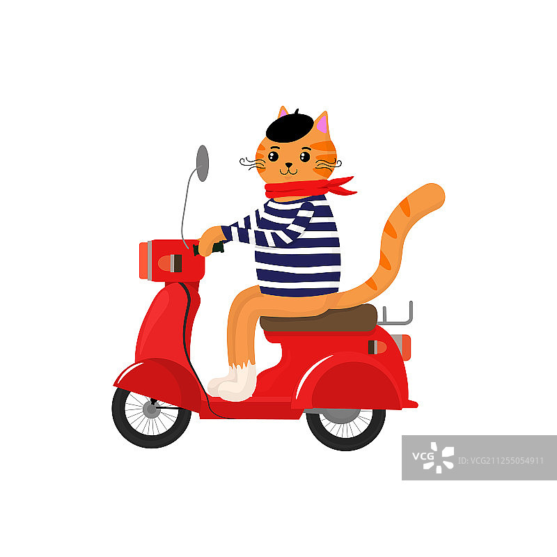 骑着滑板车的可爱猫咪图片素材