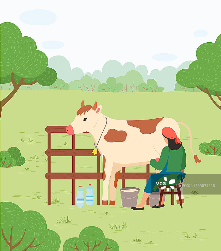 农妇在乡村挤牛奶图片素材