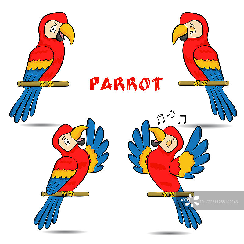 可爱的鹦鹉图片素材