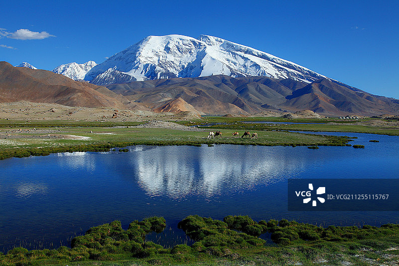 冰川之父-慕士塔格峰图片素材