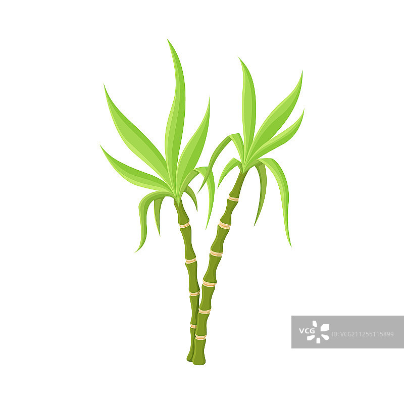 蔬菜和糖Logo图片素材