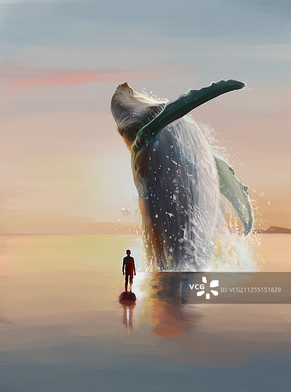 鲸鱼系12图片素材