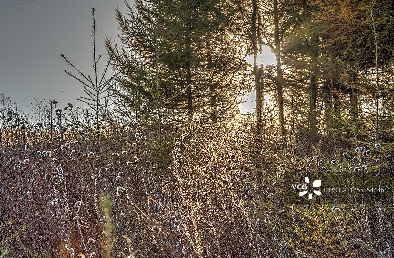 丰宁坝上图片素材