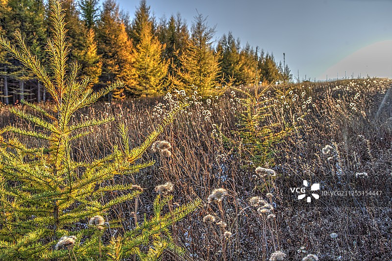 丰宁坝上图片素材