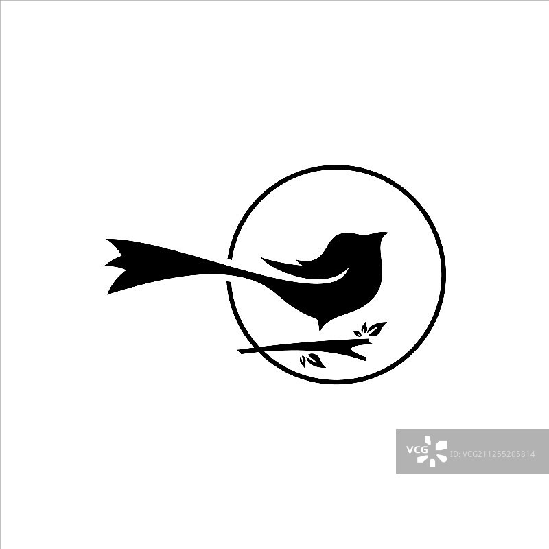 喜鹊鸟标志图片素材