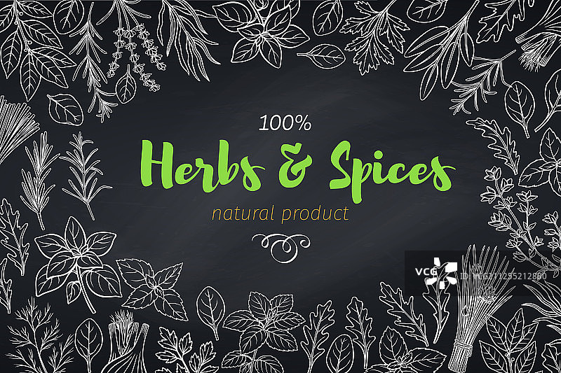 烹饪香草和香料模板图片素材