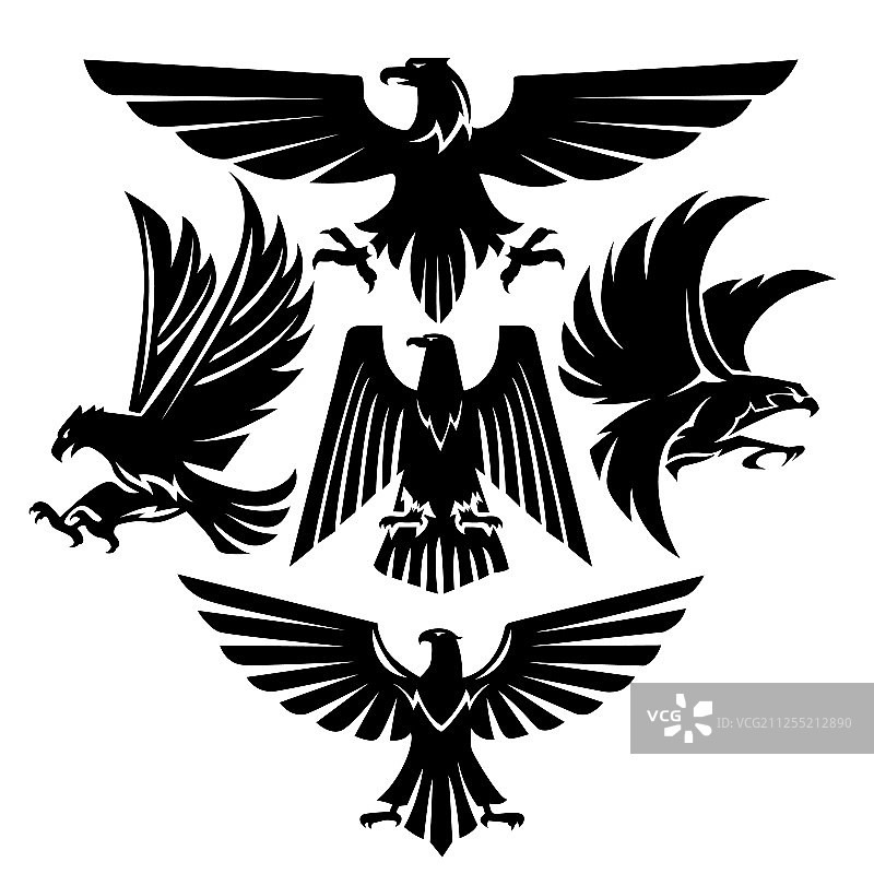 雄鹰剪影老鹰合集图片素材