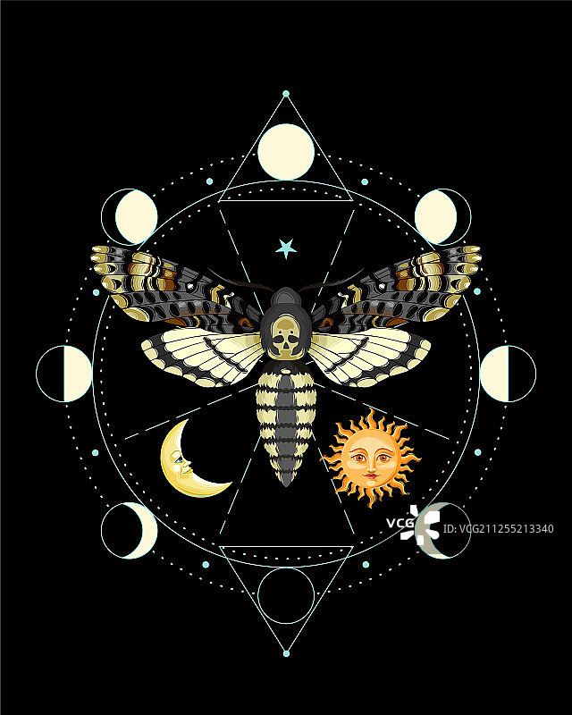 鬼脸天蛾图片素材