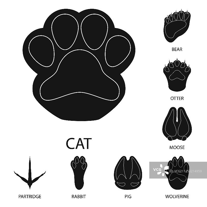 脚和动物标志设计套装图片素材
