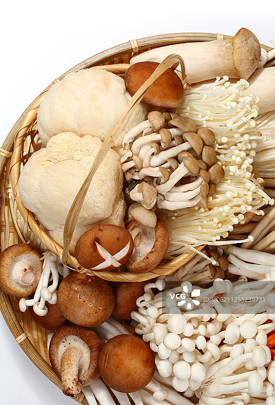 多种食用菌图片素材