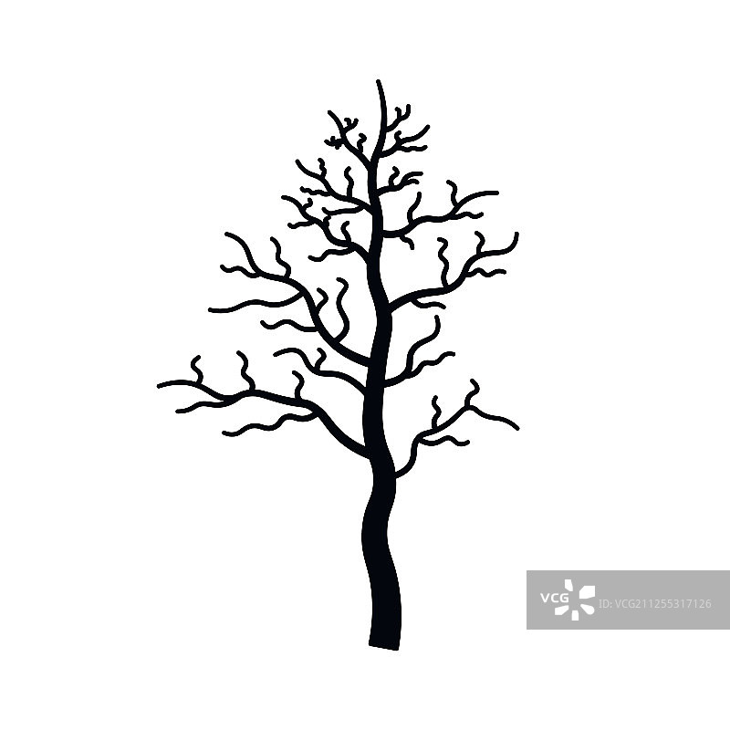 光秃秃的无叶树图片素材