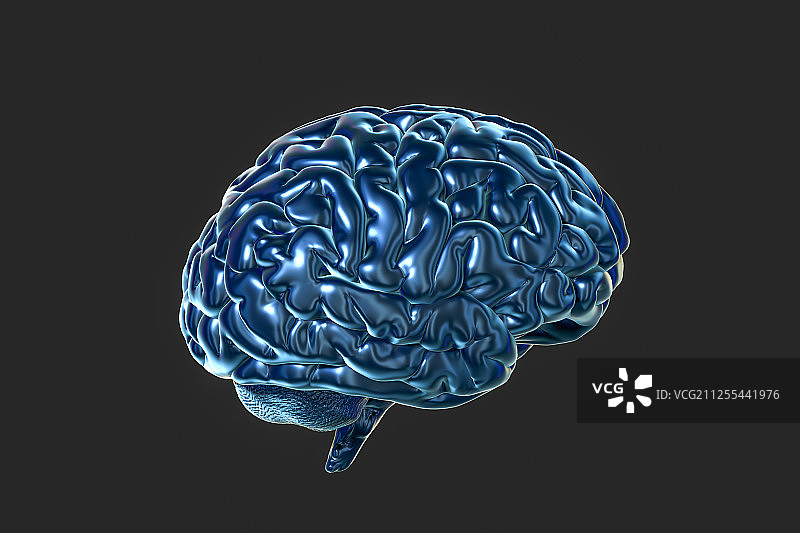 人类大脑模型与黑色背景 三维渲染图片素材