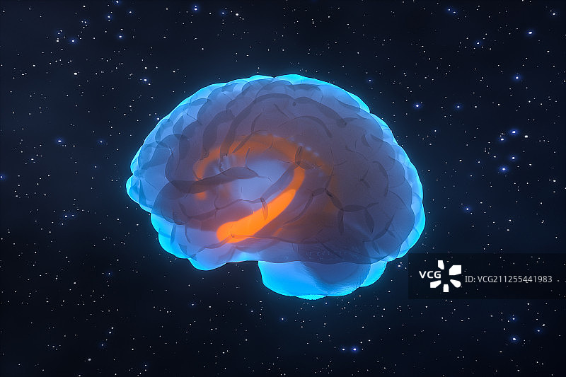 人类大脑模型与黑色背景 三维渲染图片素材