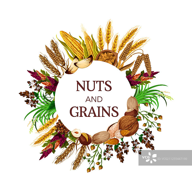 坚果和谷物籽粒图片素材
