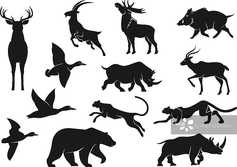 鸟类和动物剪影图片素材