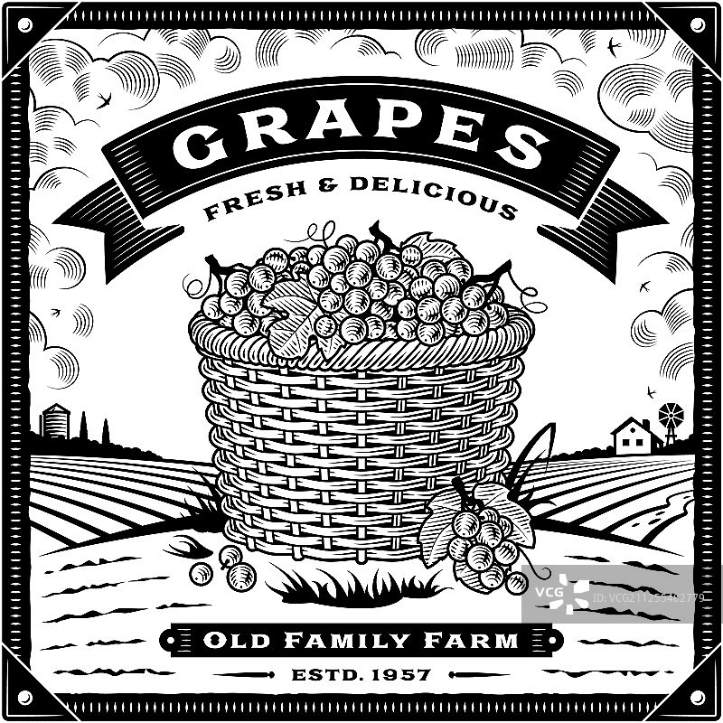 复古葡萄收获风景标签图片素材