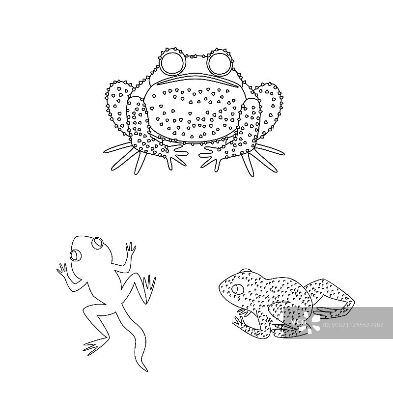 两栖动物标志设计图片素材