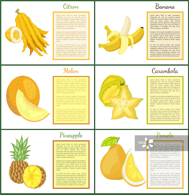 香橼香蕉蜜瓜和金桔海报图片素材