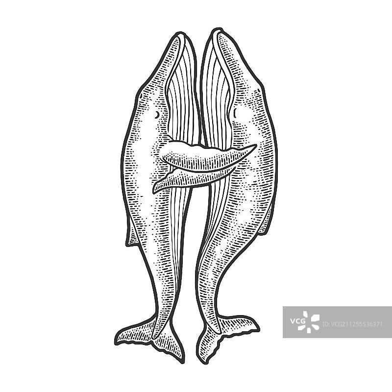 鲸鱼情侣拥抱素描图片素材