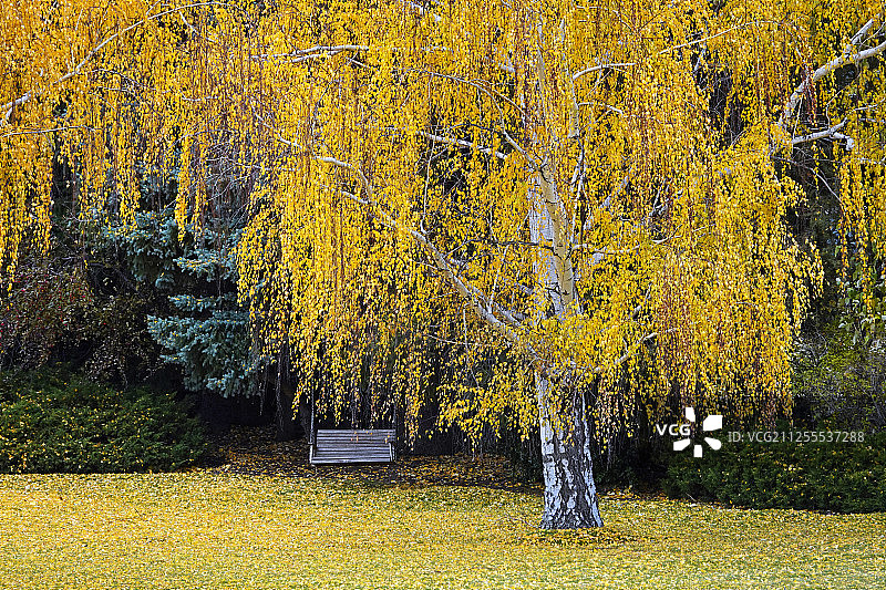 俄勒冈州德舒特河沿岸的秋色图片素材