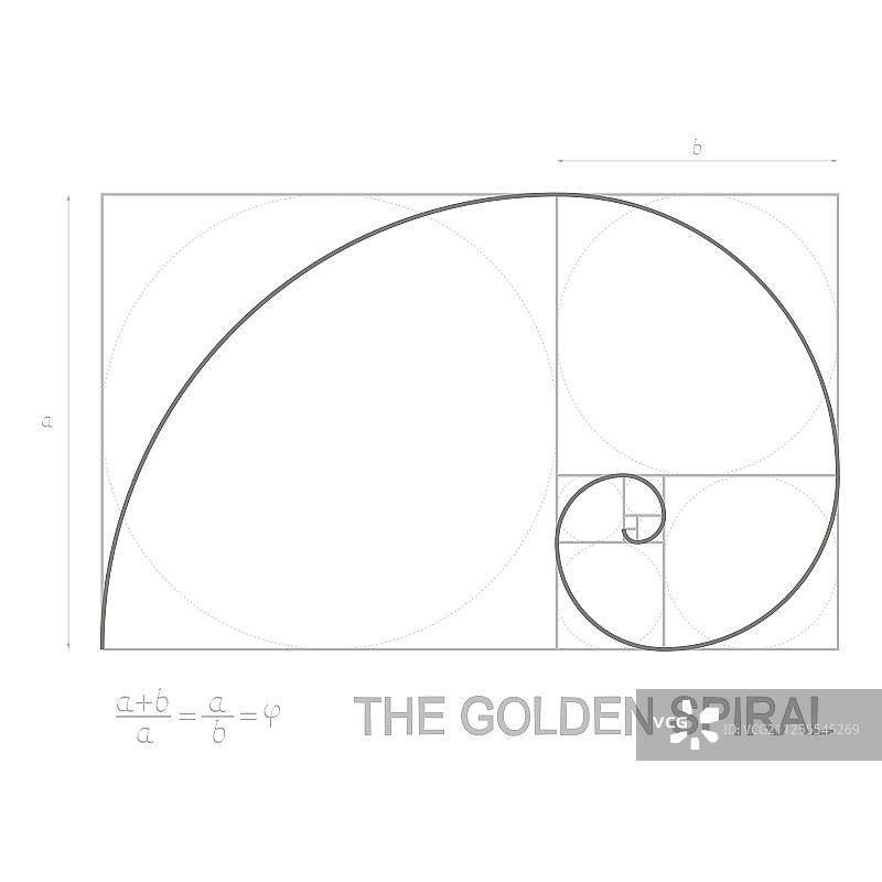 黄金比例概念图片素材