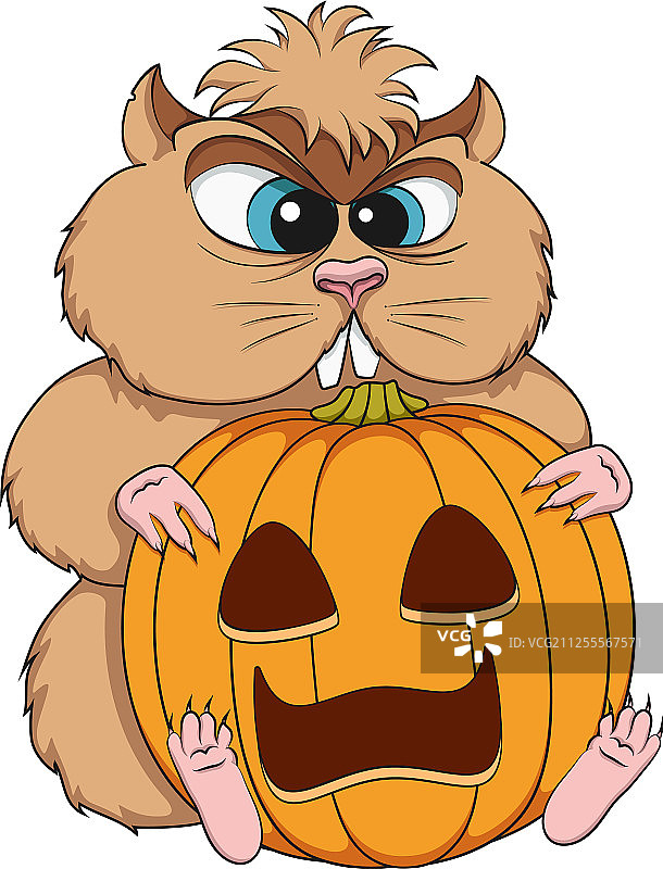 生气的仓鼠抱着一个南瓜图片素材