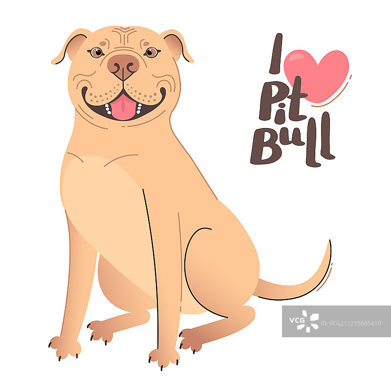 黄褐色米色比特斗牛犬，我爱它图片素材