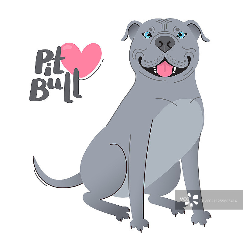 快乐的斗牛犬梗犬图片素材