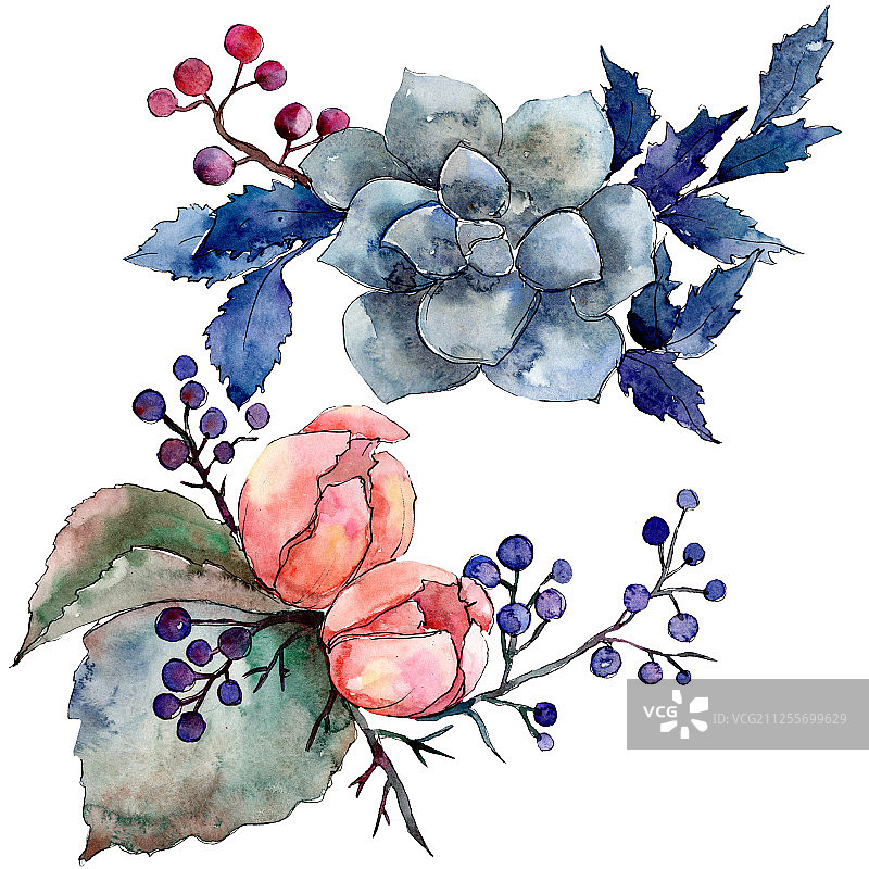 牡丹和多肉花束水彩插画图片素材