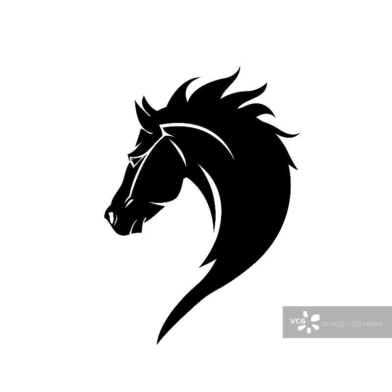白色背景上的马头图片素材