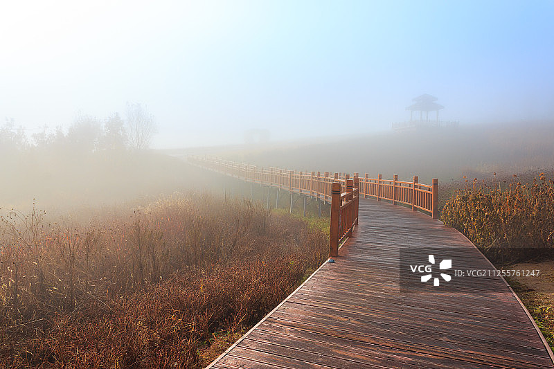 龙井琵岩山图片素材