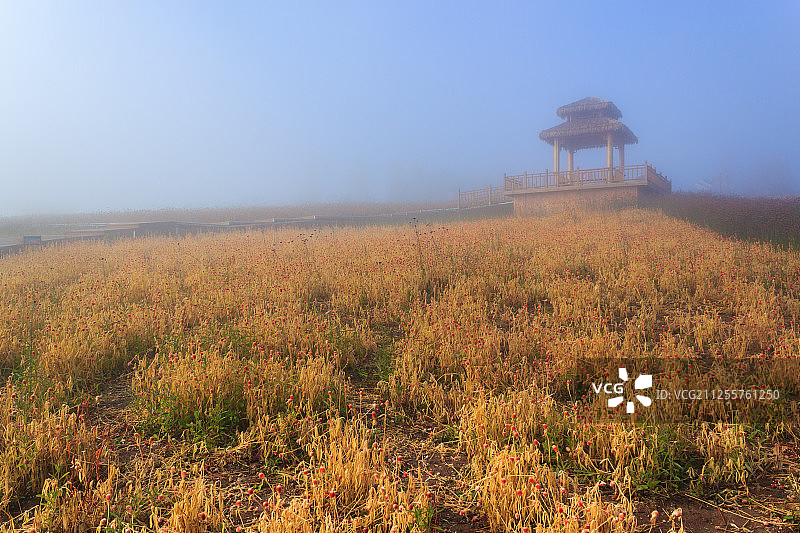 龙井琵岩山图片素材