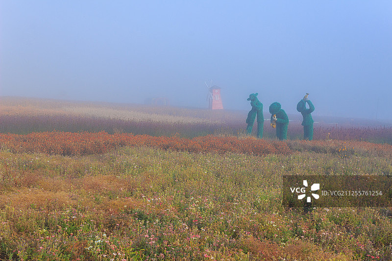 龙井琵岩山图片素材