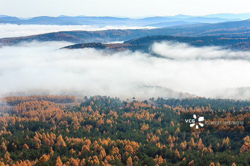 龙井琵岩山图片素材