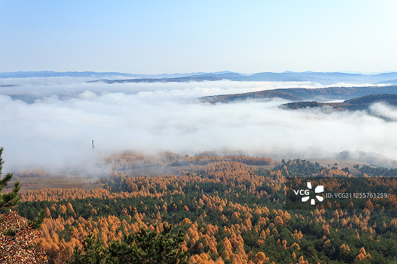 龙井琵岩山图片素材