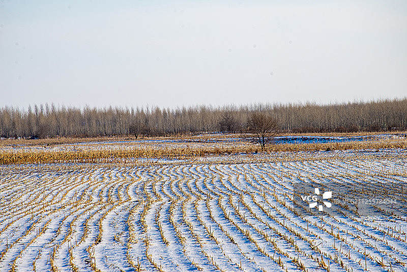 冬天里的田地图片素材