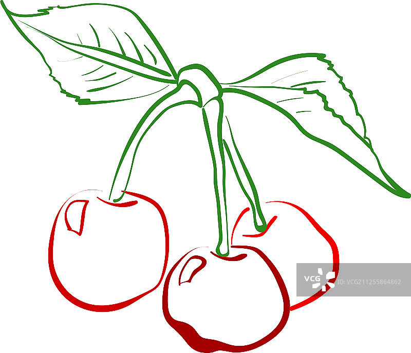 白色背景树上的樱桃图片素材