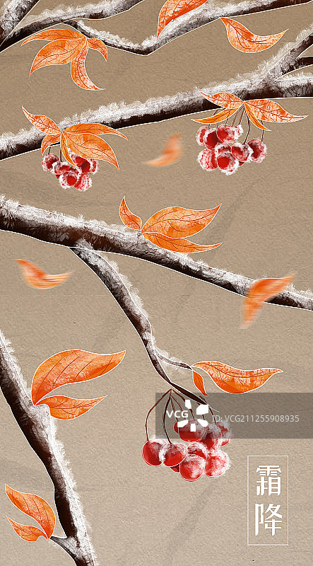 霜冻的树枝上挂满了枫叶和红色的果子图片素材